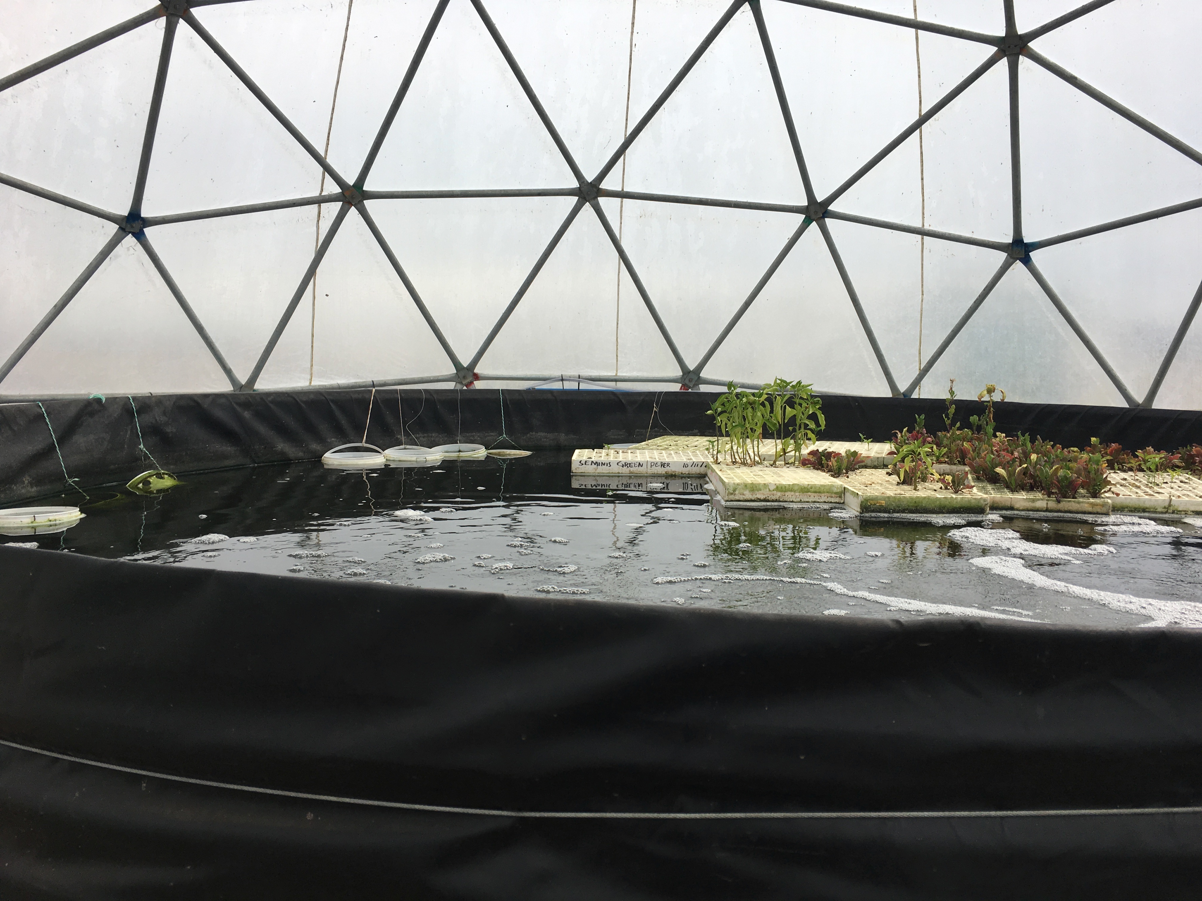 Round tanks fit neatly into our round geodesic domes!
